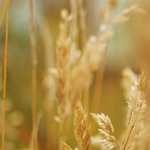 Remote Control Racing Cars for Kids, 360 Degree Remote Control Racing,Four-way Climbing Drift Remote Control Truck Car, Off-Road Climbing Car for Adults Rechargeable Children’s Toys (Blue)