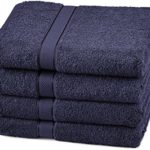 Pinzon 4 Piece Egyptian Cotton Bath Towels Set – Navy