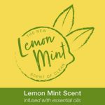 Bona Lemon Mint Floor Care, 36 oz, 36 Fl Oz