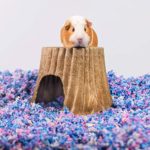 PETSPICK Uber Soft Paper Pet Bedding for Small Animals, Confetti, 36L