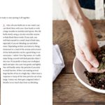 Healing Herbal Teas: Learn to Blend 101 Specially Formulated Teas for Stress Management, Common Ailments, Seasonal Health, and Immune Support