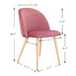 Dining Chairs Set of 2, Mid Century Modern Velvet Kitchen Chairs Wood and Metal Legs Accent Side Chair for Living Room and Dinning Room (2, Pink)