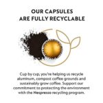Nespresso Capsules VertuoLine, Voltesso , Mild Roast Espresso Coffee, 50 Count Coffee Pods, Brews 1.35oz