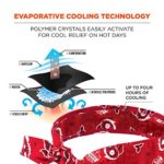 Ergodyne Chill Its 6700 Cooling Bandana, Red Western, Evaporative Polymer Crystals For Cooling Relief, Tie For Adjustable Fit