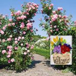 ZUEXT Welcome Spring Floral Pot Garden Flag 12.5 x 18 Inch Vertical Double Sided, Rustic Yellow Tulip Green Lisianthus Flower Yard Flag, Seasonal Spring Outdoor Holiday Party Decor Housewarming Gift