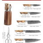 HEZHEN 7PCS Kitchen Knives Set Professional Forging Damascus High Carbon Steel Chef Knife Santoku Bread Knife Utility Knife Fruit Knife 3cr14 Multifunctional Kitchen Scissors 6Slot Black Walnut Block