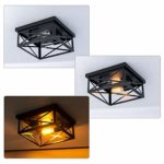 Industrial Close to Ceiling Light Fixtures, 13″ Farmhouse Flush Mount Black Cage Ceiling lamp for Kitchen Island Dining Room Bedroom Bathroom Entry,2-Lights,E26
