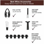 Wine Opener Set, Cokunst Air Pressure Pump Wine Bottle Openers Corkscrew with 6 Vacuum Stoppers, Wine Saver, Wine Pourer, Foil Cutter, Cork Remover Keep Wine Fresh Wine Accessories 10-in-1 Gift Set