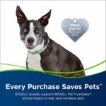 Bissell Pet Hair Eraser Turbo Rewind Upright Vacuum Cleaner, 27909, Blue