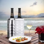 Maxso Wine Chiller, Premium Iceless Wine Cooler Keeps Wine Cold up to 6 Hours, Vacuum Insulate Wine Accessory Fits Most 750ml Champagne Bottles, Wine Gifts for Women