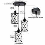 DLLT 3-Light Industrial Pendant Light, Black Metal Cage Hanging Chandelier Lights with Glass Shade, Vintage Style Flush Mount Swag Lighting Fixture for Kitchen/Dining Room/Hallway/Bedroom, E26 Base