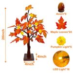 TURNMEON 20 Inch Fall Decor Maple Tree Light with 24 LED Timer Battery Operated Tabletop Pumpkin Acorn Tree Light Thanksgiving Decorations Autumn Harvest Home Party Indoor Outdoor(Warm White)