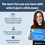 Brewsy Wine Making Kit For Beginners | Everything Included | Makes 12 Bottles of Red, White, & Juice Wine, Ciders, & More | Ready in 7 Days | 15 Minutes to Start | Basic Welcome Kit | Made in USA