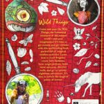 Wild Things 1 (Lonely Planet Kids)