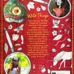 Wild Things 1 (Lonely Planet Kids)