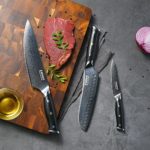 enowo Damascus Knife Set 3 PCS,Razor Sharp Kitchen Knives Japanese Damascus Steel VG10, Well-Balanced Damascus Chef Knife set with Premium G10 Full Tang Handle Triple Rivet Gift Box