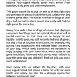 MENTAL EXERCISE FOR DOGS: The 101 best dog games for more agility,intelligence & fun