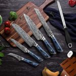 Knife Block Set 9 Pcs Japanese Aus-10 Damascus Steel Chef Knives Set High Carbon Core Stainless Steel Full Tang Chef Knife Set Blue G10 Home Kitchen Professional Knife Block Sets