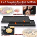 OMAIGA Raclette Table Grill, Korean BBQ Grill Raclette Grill with 8 Paddles & 8 Spatulas, Electric Indoor Grill with Reversible 2-in-1 Non-Stick Grill Plate, Temperature Control & Dishwasher Safe, 1400W