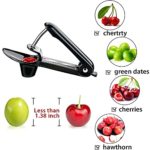Cherry Pitter Tool, Olive Pitter Tool, Cherry Pit Remover for Making Cherry Jam, Cherry Wine, Cherries Pie with Space-Saving Lock Design. (Black)