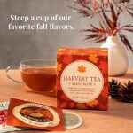 The Republic of Tea – Fall Harvest Tea Assortment Sampler, 24 Tea Bags