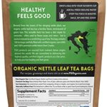 Organic Nettle Leaf Tea Bags | 100 Tea Bags | Eco-Conscious Tea Bags in Kraft Bag | Raw from Croatia | by FGO