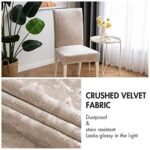 MIULEE Velvet Chair Covers for Dining Room Set of 6 Stretch Soft & Thick Crushed Velvet Chair Slipcover for Kitchen Decorative Parson Chair Seat Cover with Shimmer for Party Ceremony Cream Beige