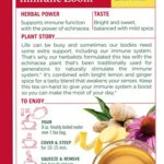 Traditional Medicinals Organic Immune Zoom Lemon Ginger Tea – 16 Ct.