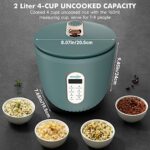 Audecook 4-Cup (Uncooked) Rice Cooker, 2L/1.8QT Small Rice Cooker with 12H Delay Timer & Keep Warm Function, Electric Rice Cooker for Apartment/Small Kitchen/College Dorm/RV Travel, Green