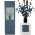 Cocorrína Premium Reed Diffuser Set with Preserved Baby’s Breath & Cotton Stick Cashmere Vanilla | 6.7oz Scent Fragrance Oil Diffuser for Bedroom Bathroom Living Room Home Décor