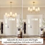 5-Light Modern Chandelier with White Shades, 30” Brass Gold Chandelier for Dining Room, Classic Pendant Ceiling Light Fixture w/ E12 Base Hanging Lamp for Living Room Hallway Bedroom Height Adjustable