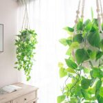 Mkono Fake Hanging Plant with Pot, Artificial Plants for Home Decor Indoor Macrame Plant Hanger with Fake Vines Faux Hanging Planter Greenery for Bedroom Bathroom Kitchen Office Decor, Ivory (Pothos)