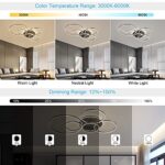 Modern LED Ceiling Light 106W Dimmable Acrylic Ceiling Lamp with Remote Control 6 Rings Circle Living Room Light Fixtures Ceiling Black Ceiling Chandelier Lighting for Bedroom Dining Room (5+1B01)