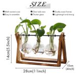XXXFLOWER Plant Terrarium with Wooden Stand, Air Planter Bulb Glass Vase Metal Swivel Holder Retro Tabletop for Hydroponics Home Garden Office Decoration – 3 Bulb Vase