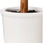 Amazon Brand – Stone & Beam Artificial Orange Citrus Tree with Ceramic Pot, 2 Feet (24 Inches), Indoor