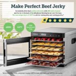 COSORI Food Dehydrator for Jerky, Large Drying Space with 6.48ft², 600W Dehydrated Dryer Machine, 6 Stainless Steel Trays, 48H Timer, 165°F Temperature Control, for Herbs, Meat, Fruit, and Yogurt