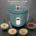Audecook Mini Rice Cooker, 4 Cups (Uncooked) 2L Portable Small Rice Cooker with Removable Non-Stick Inner Pot, 6 in 1 Smart Control Multifunctional Cooker, Delay Timer & Keep Warm Function (Green)