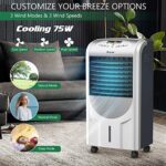COSTWAY Evaporative Cooler and Heater, Portable Cooling Fan with Remote Control, 3-Mode, 3-Speed and Timer Function, Include Ice Crystal Boxes, Water Tank and Casters, Bladeless Cooler for Home Office