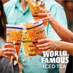 HTeaO Iced Tea Sachets (Blueberry Green Tea), 4 Gallons Per Package, Make Real Texas-Style Tea in 5 Minutes (Pack Of 8 Sachet Bags)