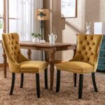 Set of 2 Dining Chairs Modern for Living Room Kitchen Accent Side Chair Solid Wood Legs Velvet Padded Cushion Seat and Back (Gold)