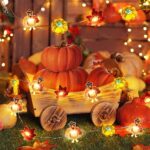[Timer, 8 Modes]10Ft 30LED Thanksgiving Lights Decorations Battery Operated Copper Wire String Lights Thanksgiving Turkey Maple Pumpkin Lights Autumn Harvest Fall Decor Thanksgiving Lights Indoor Home