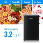 DEMULLER 3.2 Cu.Ft Upright Freezer with 7 Adjustable Thermostat Stand-up Single Door Compact Freezers Small Freestanding Mini Freezer with Rapid Cooling Technology for Home Kitchen Dorm Black