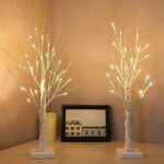 2-Pack 2FT Lighted Birch Tree for Home Decor with Timer, Thanksgiving Christmas Table Decor Birch Tree with 48 LED Warm White Lights, Artificial Tree Light for Indoor Xmas Decorations Holiday Bedroom