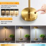 HAJINLU Cordless Table Lamps Battery Powered Rechargeable LED Desk Lamp Dining Table Decor Bedroom Nightstand Small Night Lights (Brass)