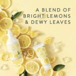 Thymes Candle – 8 Oz – Lemon Leaf