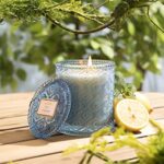 LA JOLIE MUSE Lemon Candle, Scented Candles Gifts for Women, Citrus Mint Candles for Home Scented, Natural Soy Candle, 40 Hours Long Burning