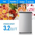 DEMULLER 3.2 Cu.Ft Upright Freezer with 7 Adjustable Thermostat Stand-up Single Door Compact Freezers Small Freestanding Mini Freezer with Rapid Cooling Technology for Home Kitchen Dorm Silver
