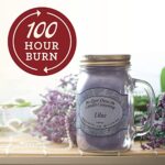 Our Own Candle Company Blueberry Pie Scented 13 oz Mason Jar Candle – Made in The USA