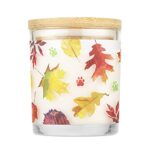 One Fur All Pet House Candle – Falling Leaves Pack of 2-100% Plant-Based Wax Candle – Pet Odor Eliminator for Home – Non-Toxic & Eco-Friendly Air Freshening Scented Candles