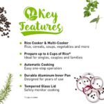 Panasonic SR-G06FGL Rice, Steamer & Multi-Cooker, 3-Cup, 3 cups uncooked/6 cups cooked, Silver